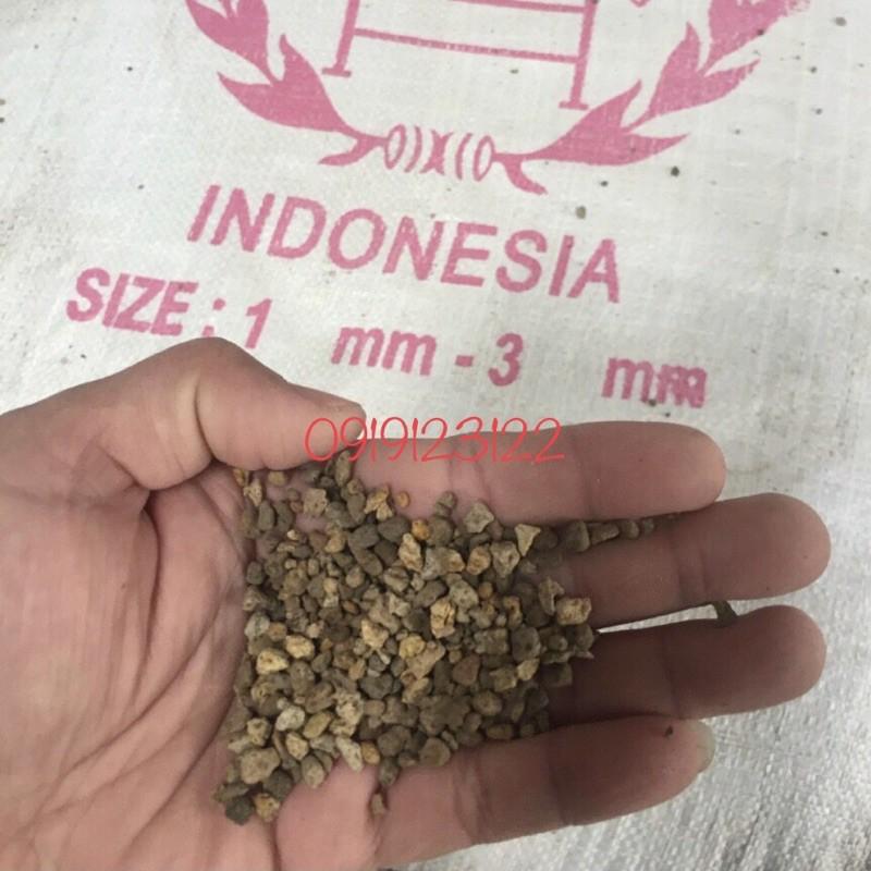 1Kg đá bọt Pumice Indonesia size 1-3mm - siêu rẻ, chất lượng - phù hợp cho sen đá, xương rồng