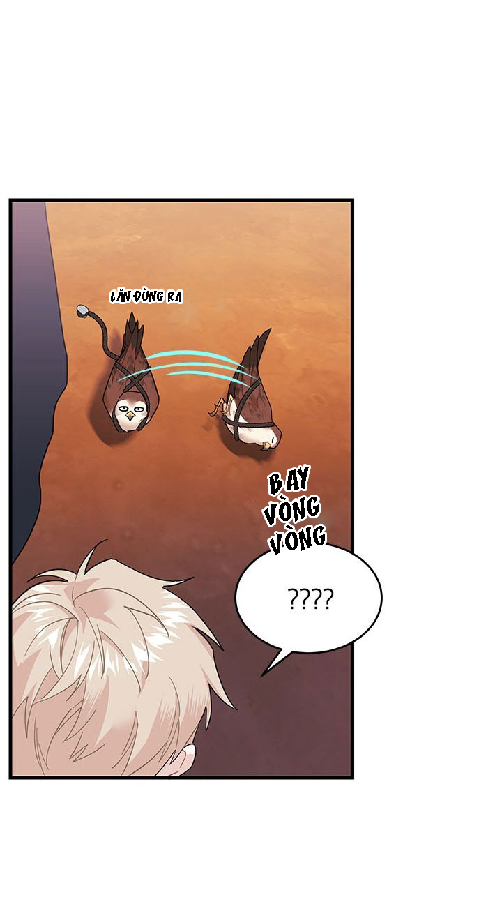 công chúa của loài chim chapter 3 75