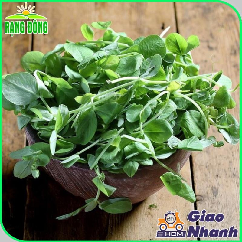 Hạt giống Rau Mầm Đậu Hà Lan Dễ Trồng, Thơm, Ngọt (gói 50 gram) - Hạt Giống Rạng Đông