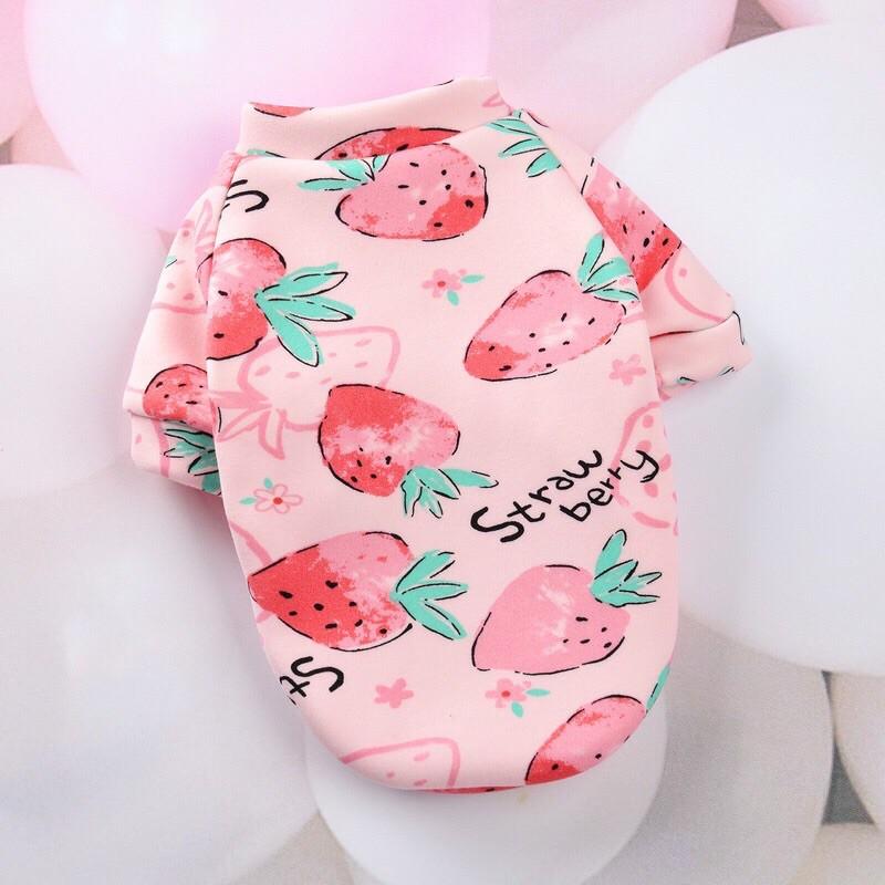 Combo 03 chiếc áo mùa đông có tay nỉ bông ấm áp cho chó mèo có sz 8kg