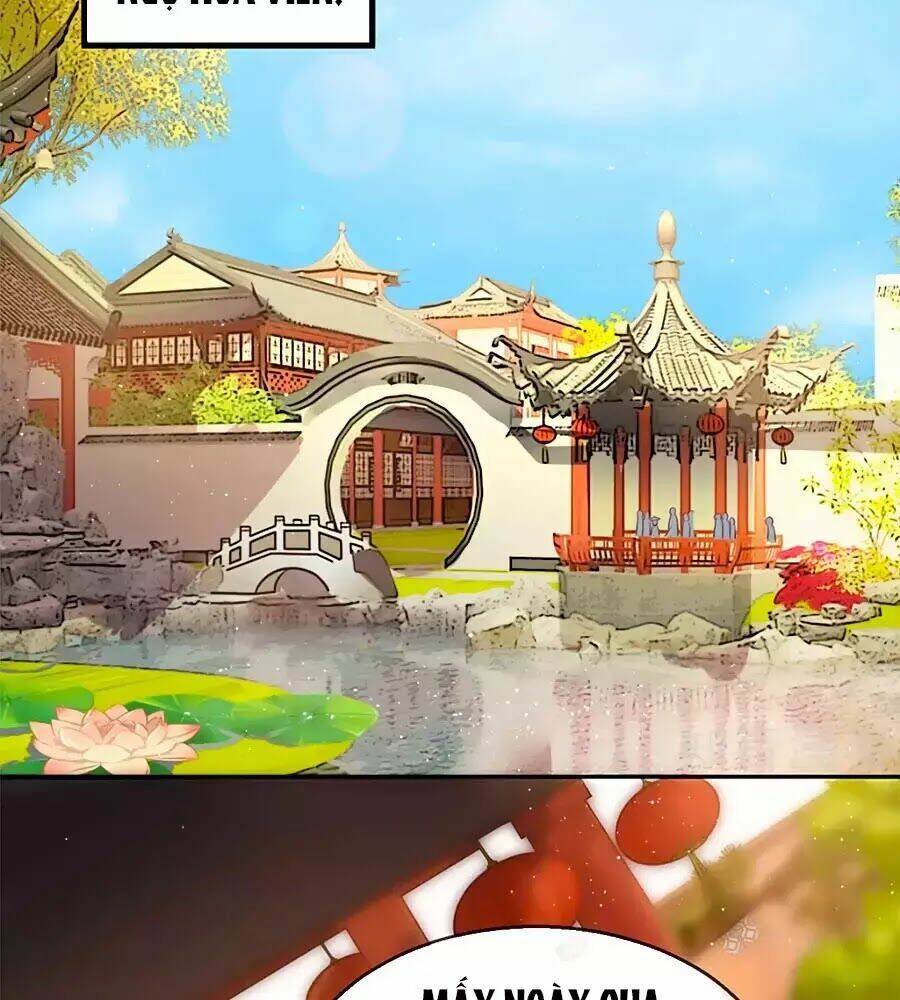 gian phi như thử đa kiều chapter 24 2