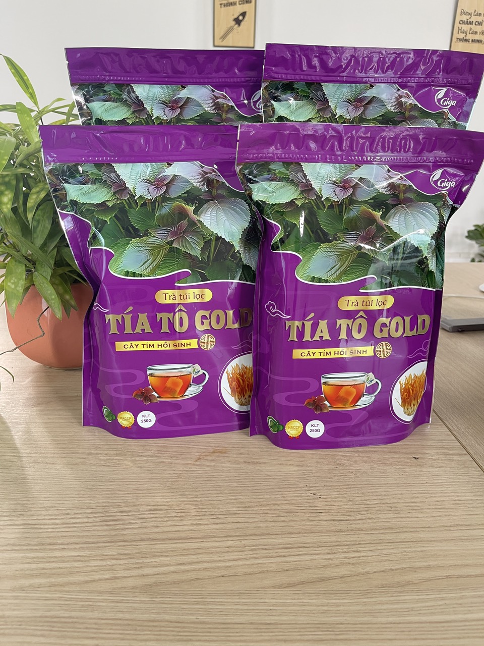 Combo 1kg Trà Túi Lọc Tía Tô Gold Giga - Giúp Thanh Nhiệt Giải Độc Mát Gann
