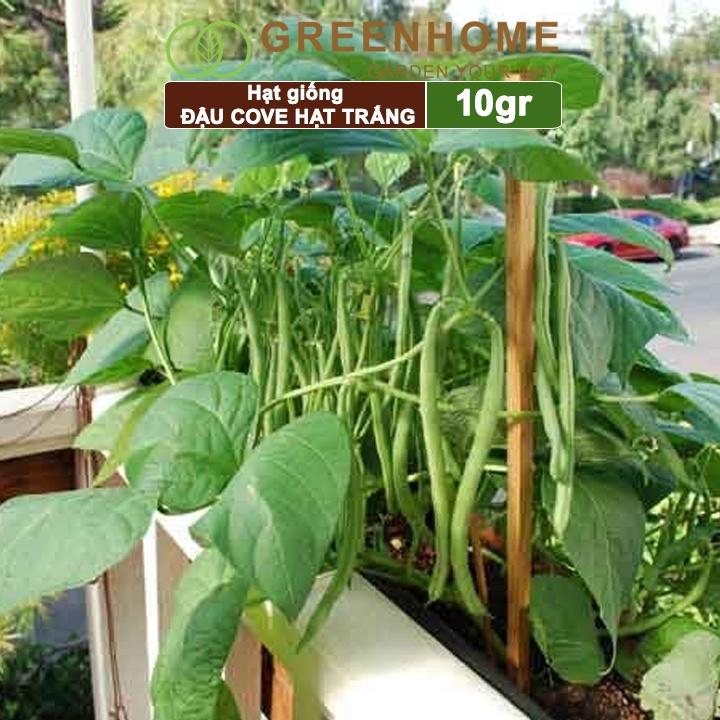 Hạt Giống Đậu Cove Greenhome, Gói 10gr, Dễ Trồng Quanh Năm, Nảy Mầm Cao, Thu Hoạch Nhanh, Năng Suất Cao T07