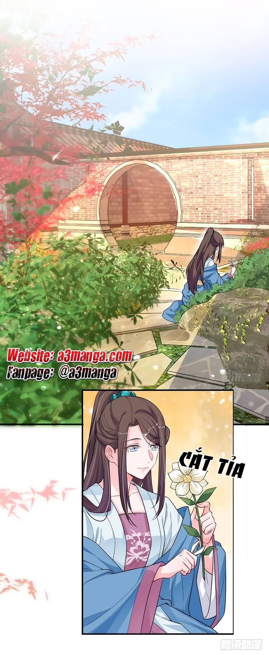 cung đấu live chapter 8 1