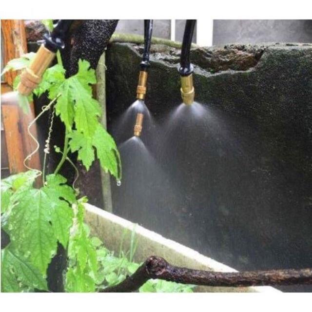 BÉC PHUN SƯƠNG ĐẨU ĐỒNG + KHỚP 6