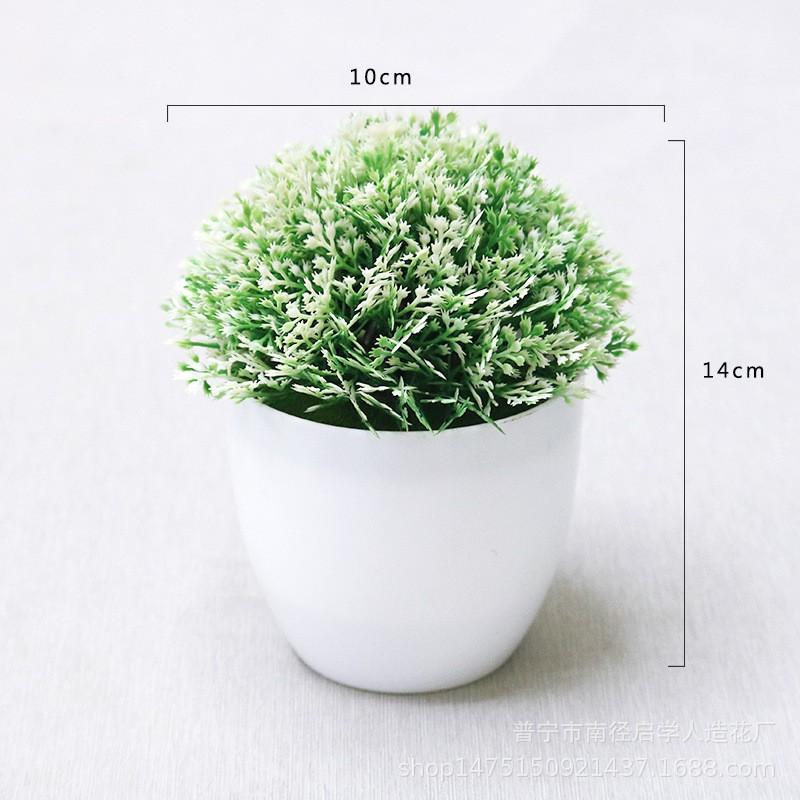 Chậu cây xanh nhân tạo để bàn trang trí, để kệ tủ độc đáo 10cm x 14cm (chọn màu