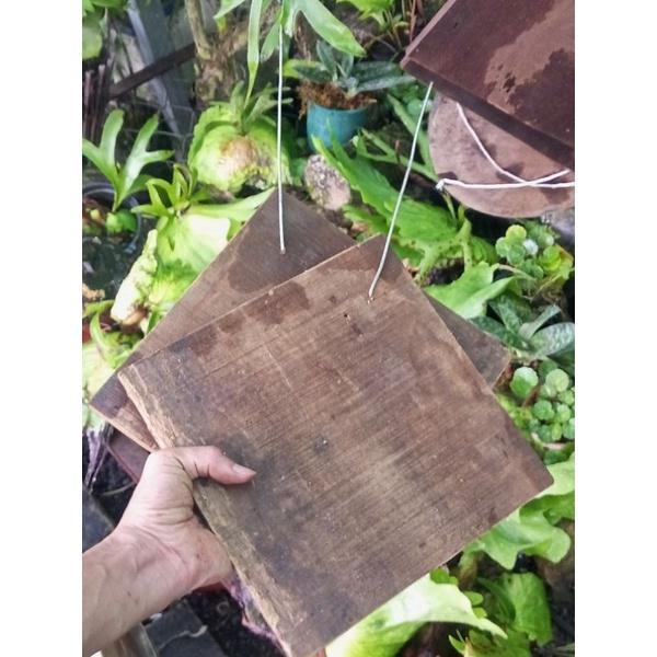Bảng gỗ ghép tổ rồng