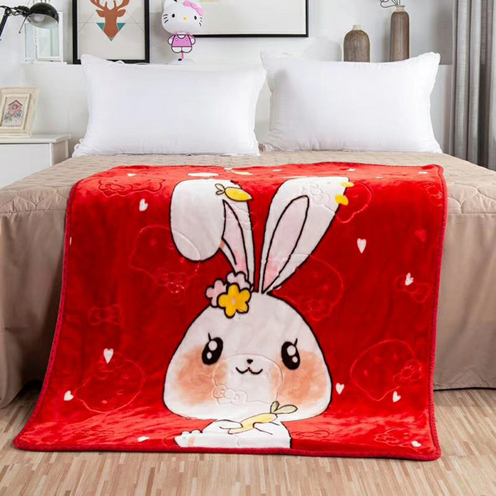 Chăn băng lông 2 mặt dày dặn, ấm áp và cực mềm mượt đắp mùa thu đông KT 1m X1.25m