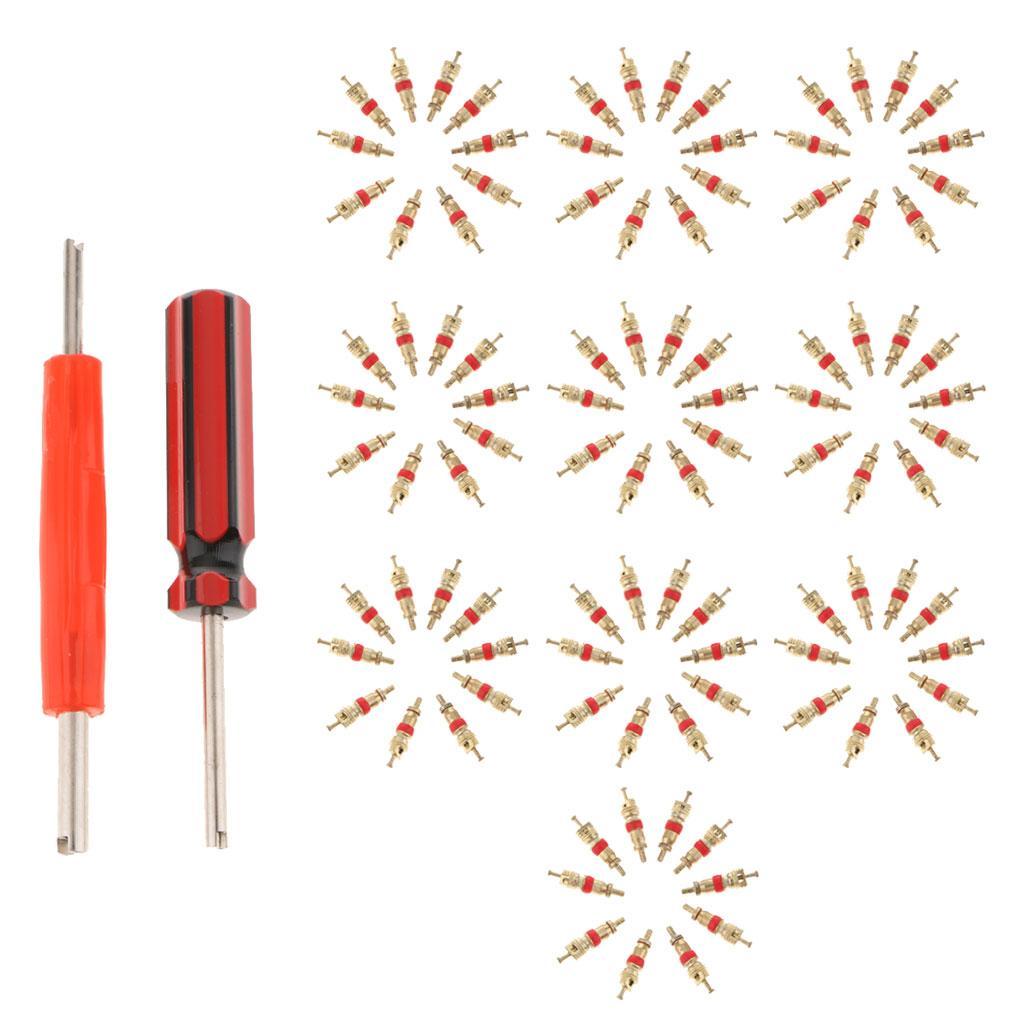 102Pcs Tire Valve Stem Core Part Dual /Single Head Valve Core Remover Set