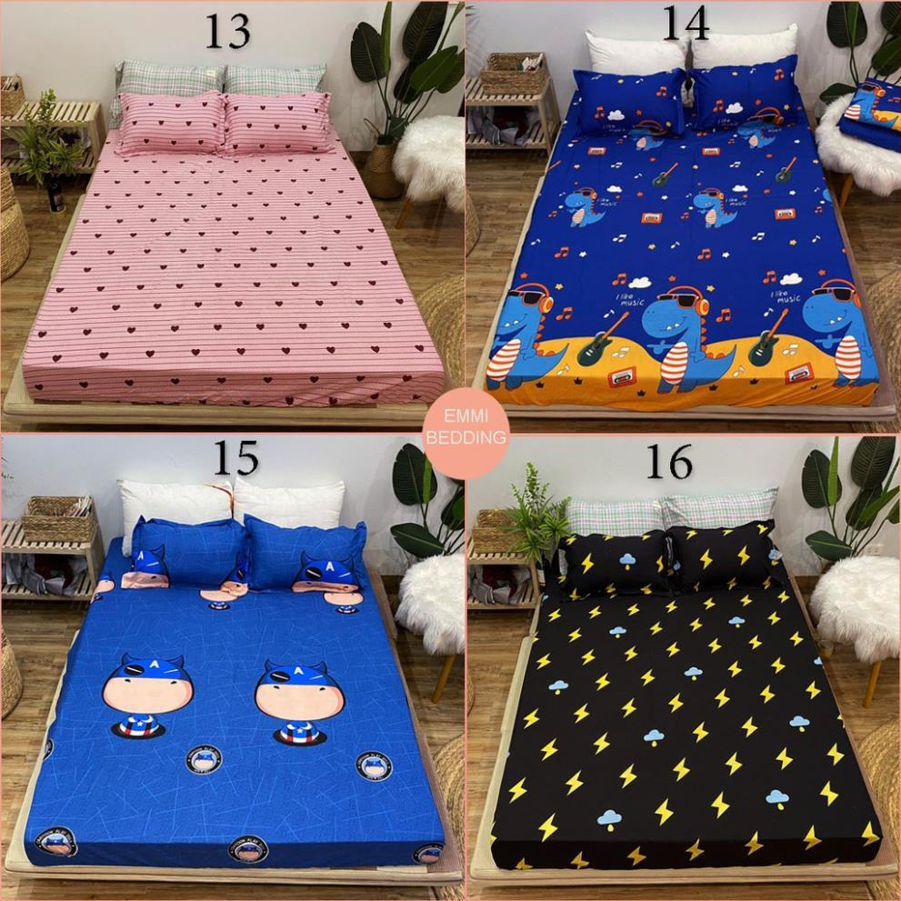 Bộ ga gối cotton poly