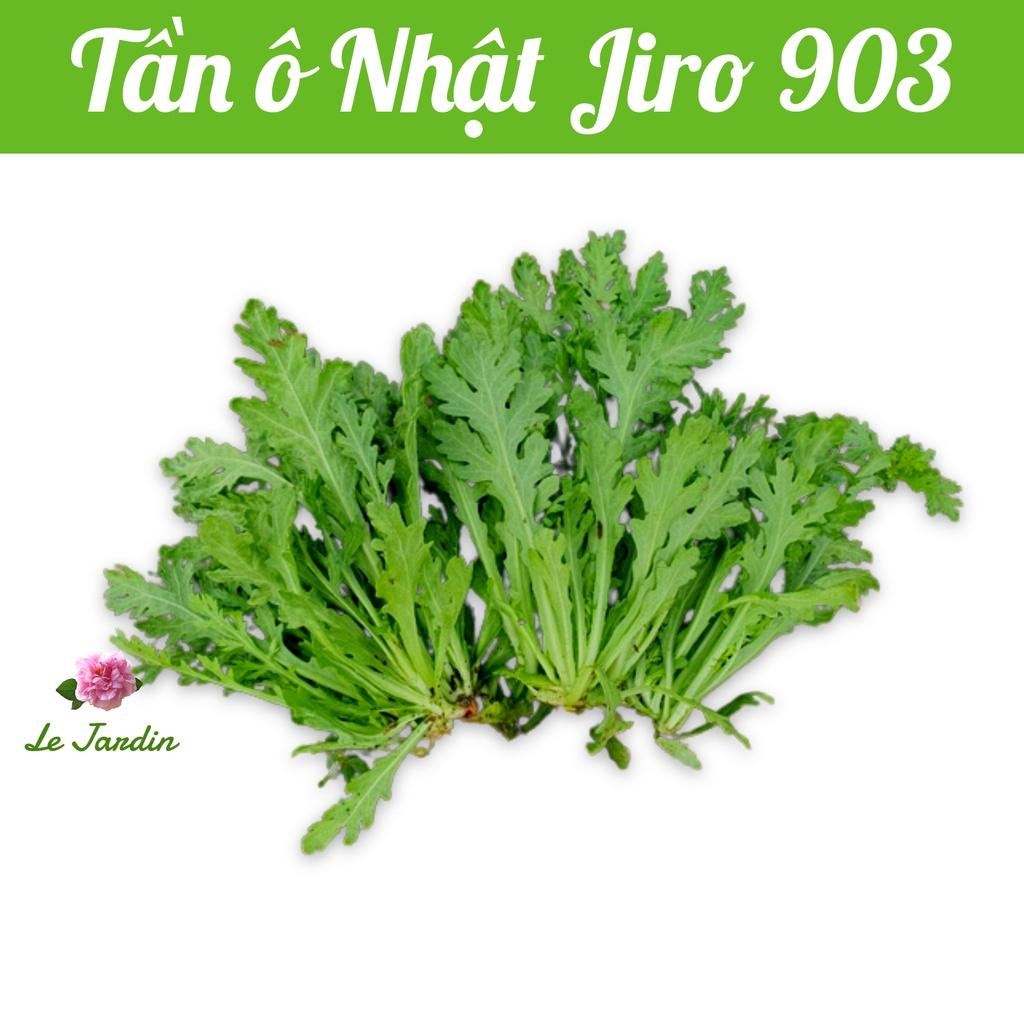 Hạt giống tần ô Nhật JIRO903 - Dễ trồng