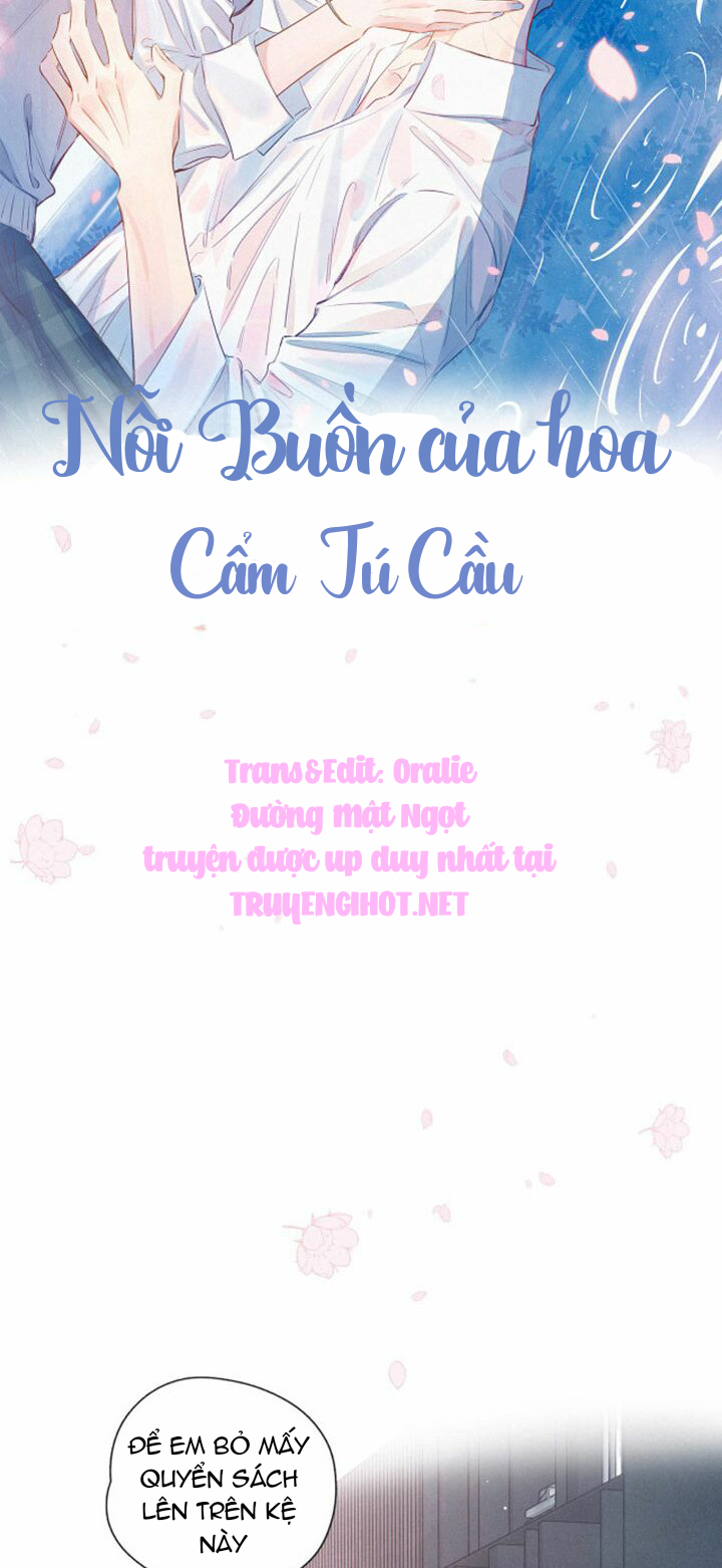 nỗi buồn của hoa cẩm tú cầu chapter 43 2