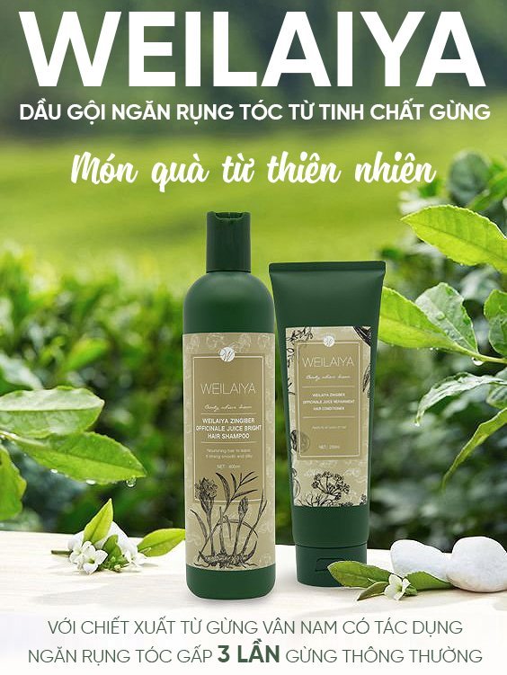 Dầu Xả WEILAIYA Gừng Hà Thủ Ô , Ngăn Rụng Tóc, Kích Mọc Tóc 250ml