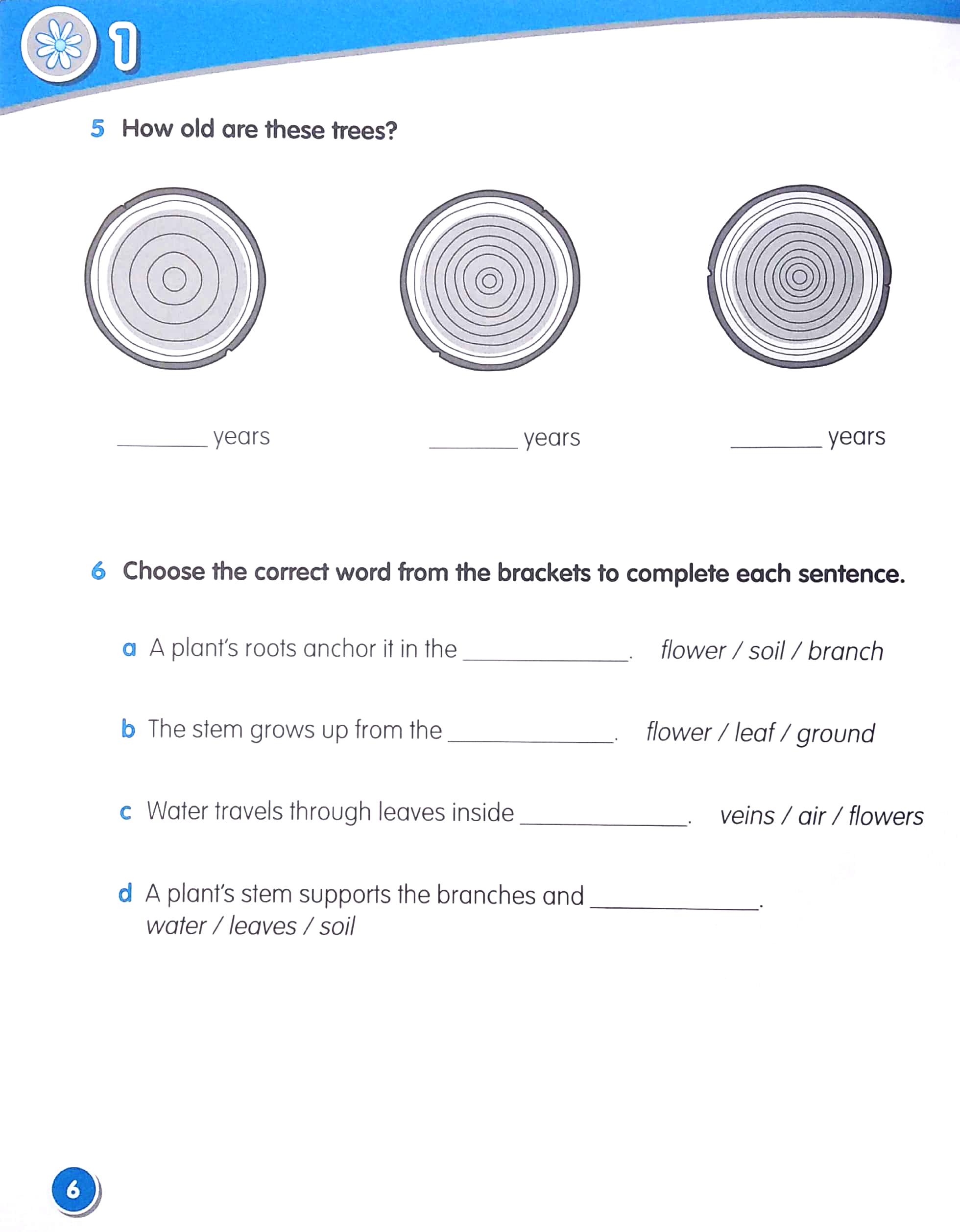 Macmillan Science 3: Workbook