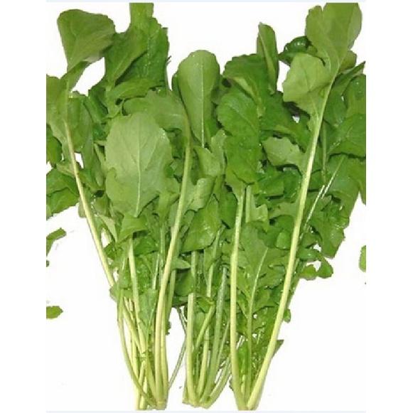 Hạt giống rau cải rocket cao sản-gói 20gram