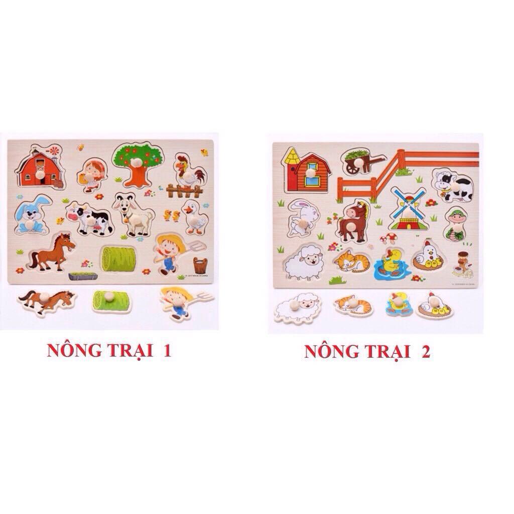 Đồ chơi bảng núm gỗ loại 20x30cm nhiều chủ đề