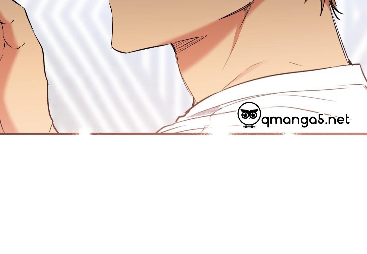 những chú thỏ của hapypy chapter 60 270