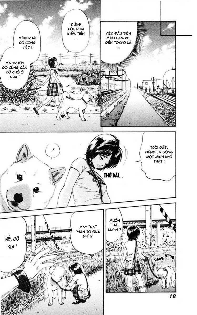 cô nàng yêu chó chapter 1 16