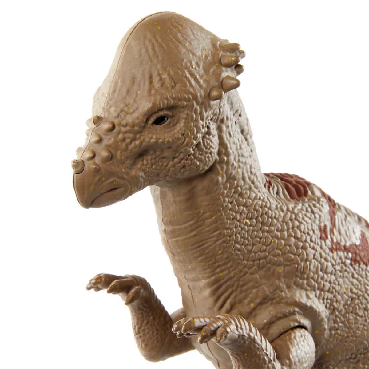 Đồ Chơi Mô Hình Khủng Long Pachycephalosaurus 12 Inch JURASSIC WORLD MATTEL GNH28/GWT54