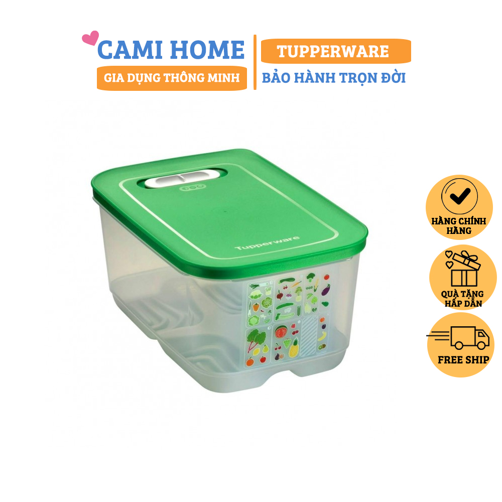 Hộp Trữ Mát Rau Củ Vensmart Tupperware 4.4L, Hộp Trữ Mát Có Nút Hô Hấp