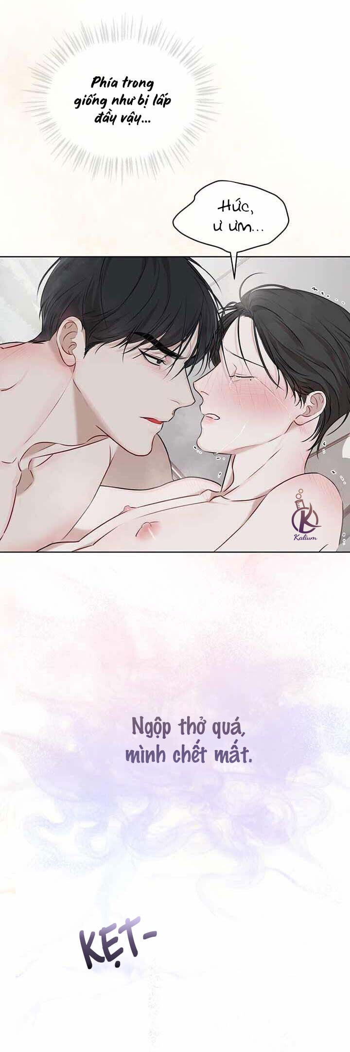 hình thái khởi sinh chapter 23 10