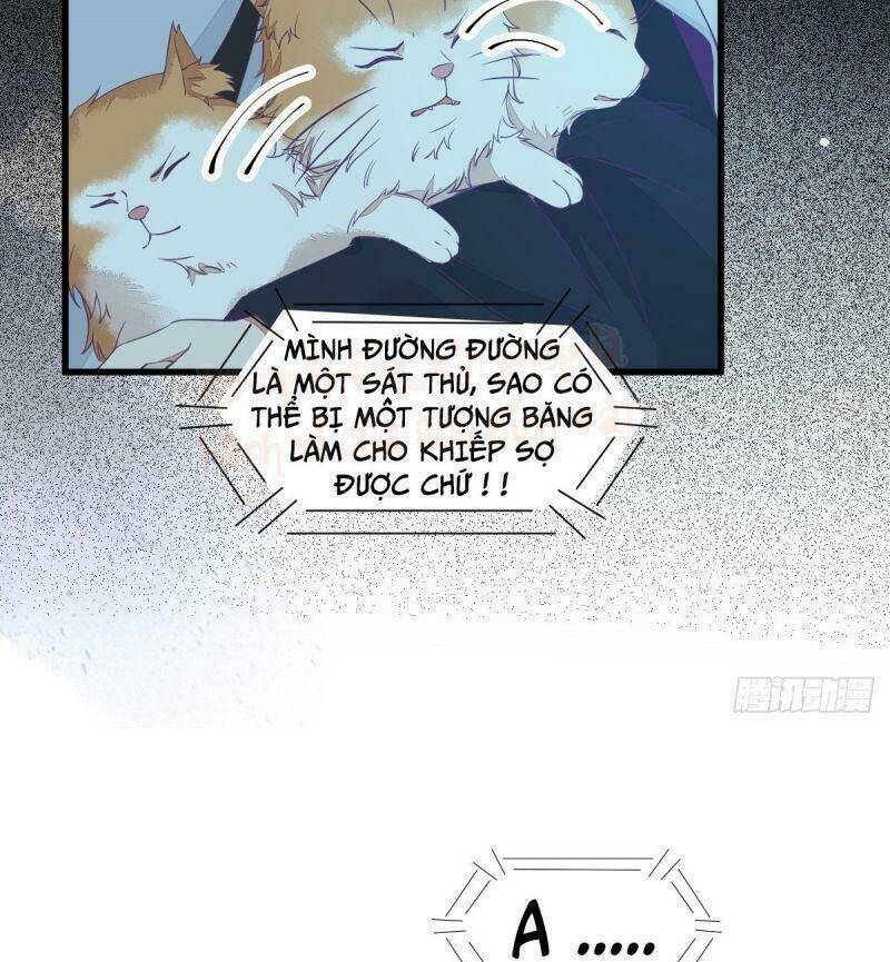 sát thủ vương phi không dễ chọc chapter 40 8