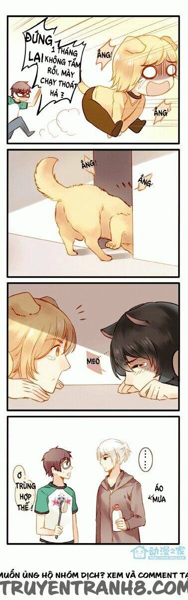 hằng mộng nam thần chapter 4 2