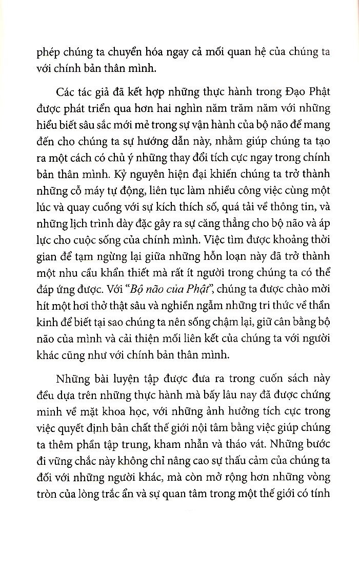 Bộ Não Của Phật