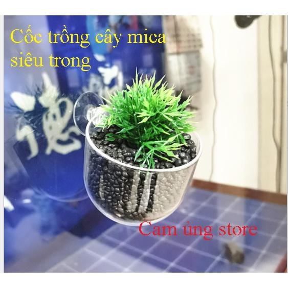 Cốc trồng cây thủy sinh chất liệu mica siêu trong- Cốc trồng cây trang trí bể cá bể thủy sinh giá siêu tốt