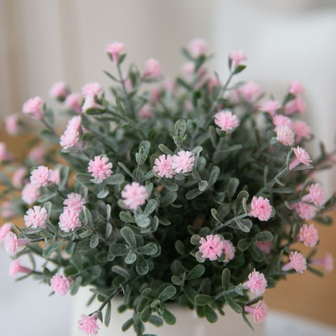 Chậu Hoa Để Bàn Baby Gypsophila  - Qùa Tặng Ý Nghĩa