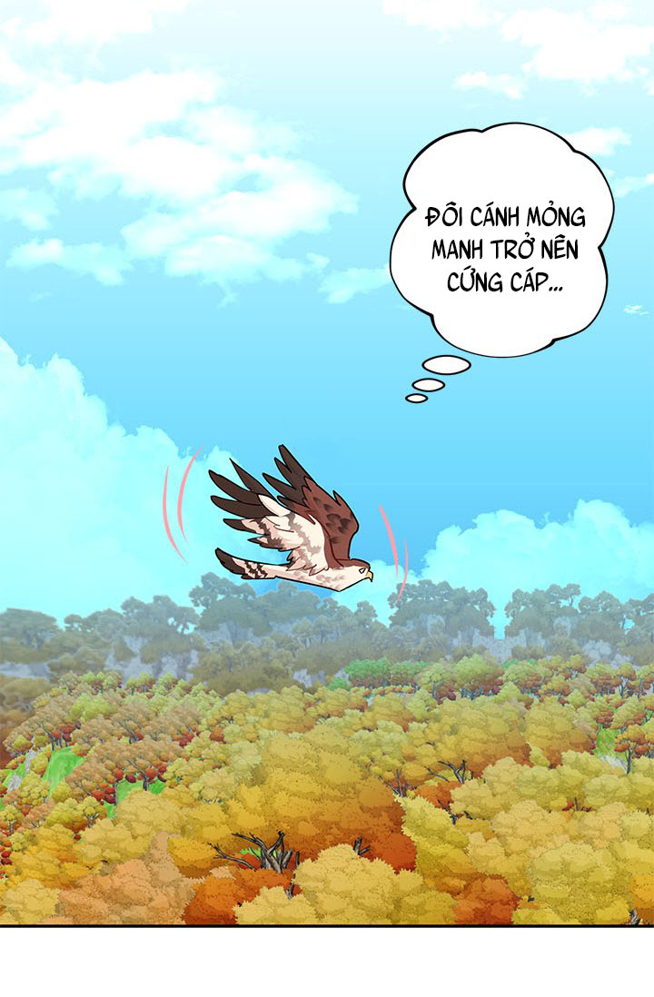 công chúa của loài chim chapter 7 22