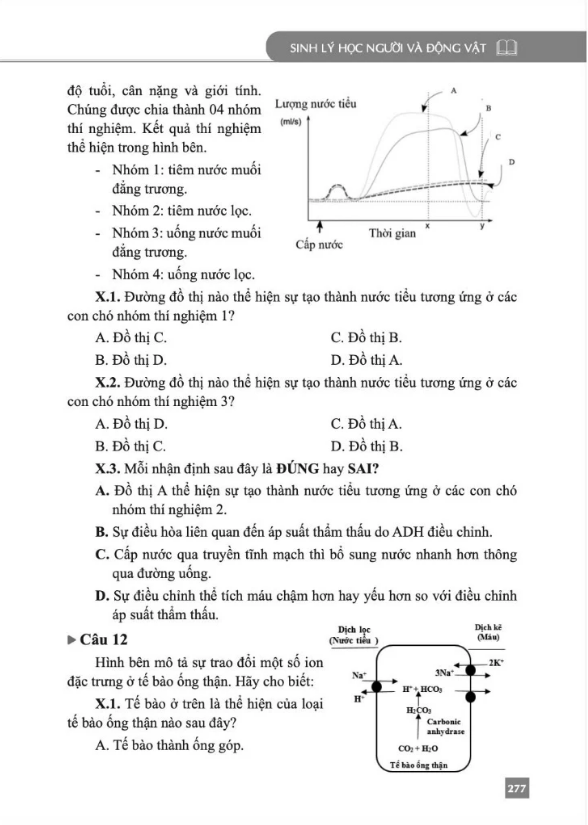Sách - Bồi Dưỡng Sinh Học 11 (Bộ sách Alpha Biology)