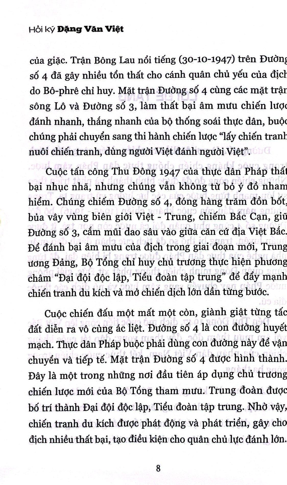 Hồi Ký Đặng Văn Việt - Hùm Xám Đường Số 4
