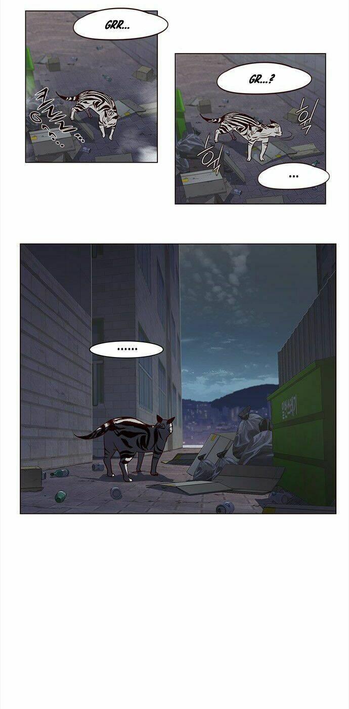 biến thân thành mèo chapter 3 17