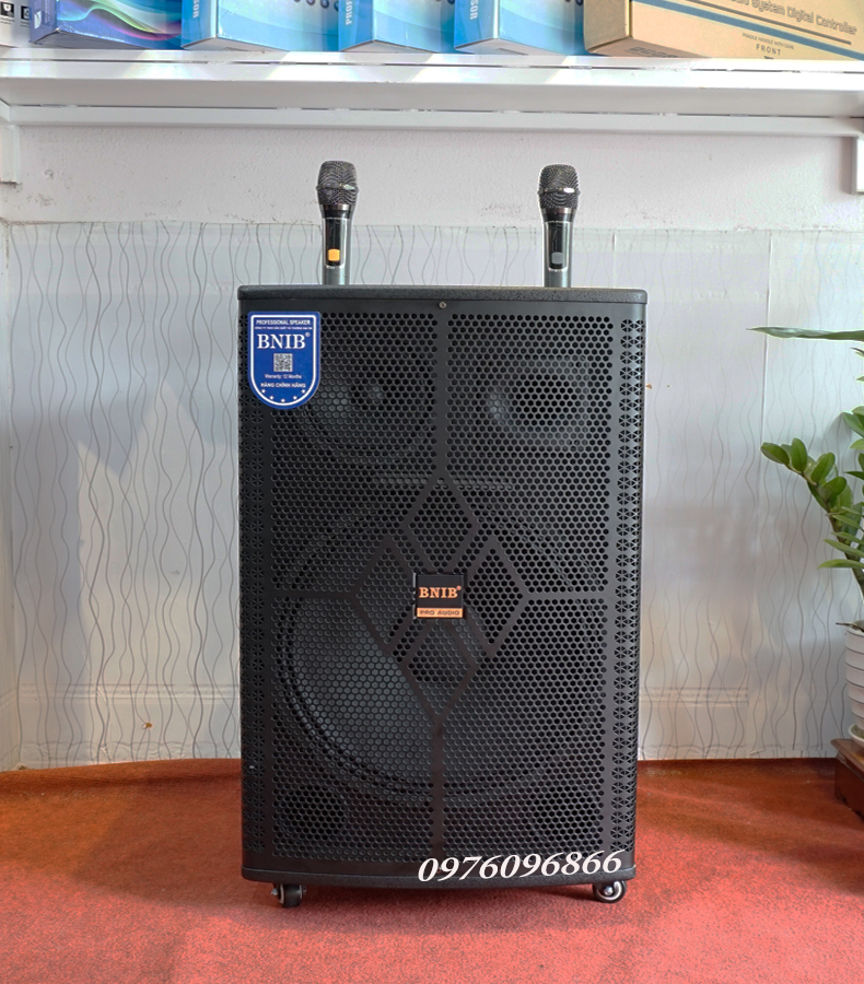 Loa kéo bluetooth BNIB 15B bass 40,Loa karaoke Hàng chính hãng Nhập Khẩu 2023,Tặng kèm bộ sạc và 4 quả pin 1200mah