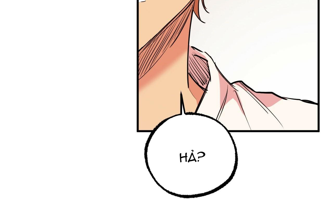 đàn thỏ của habibi chapter 35 140