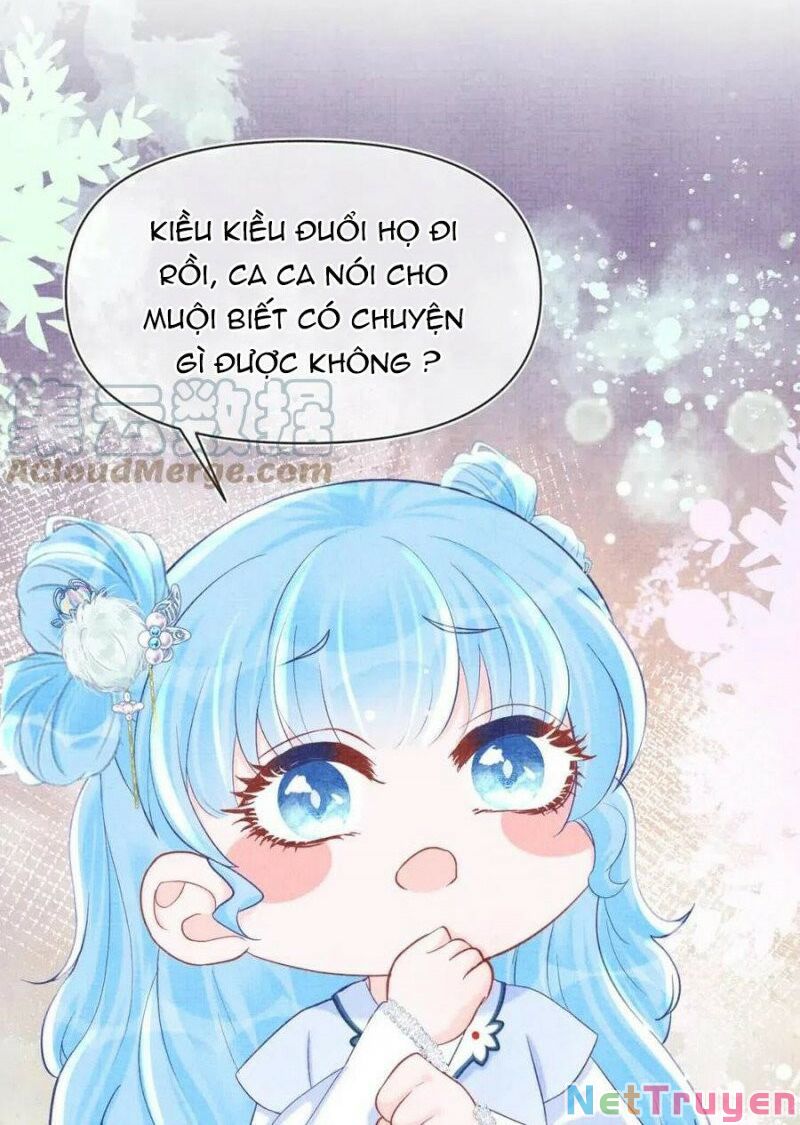 nhóc con người cá 3 tuổi rồi chapter 190 4