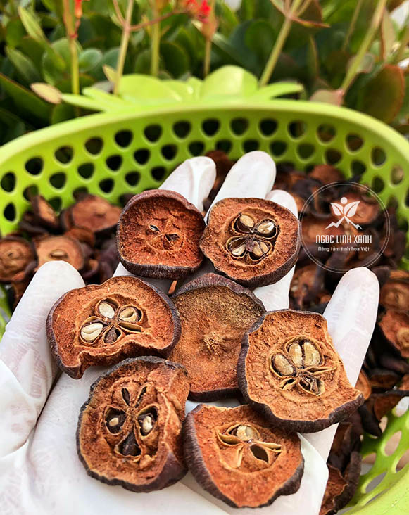 Táo mèo Tây Nguyên khô hàng tây nguyên thơm vị chua chua chát chát chuyên dùng ngâm