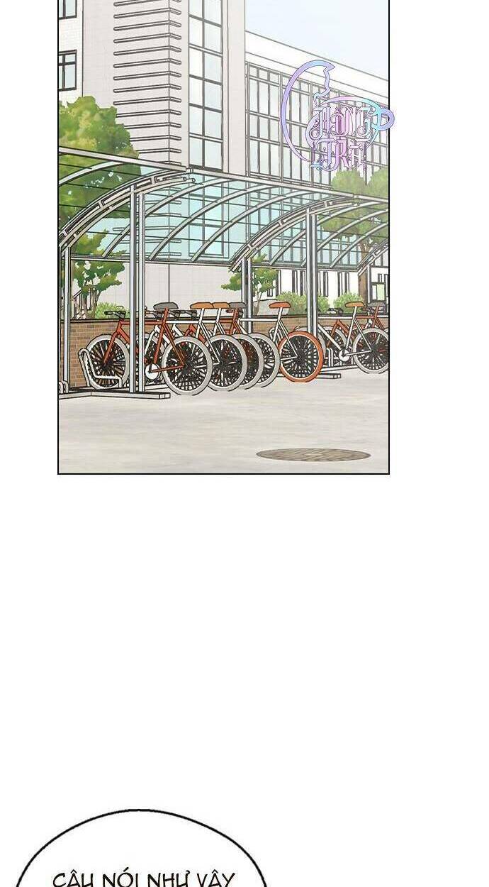 duyên nợ kiếp trước chapter 33 42