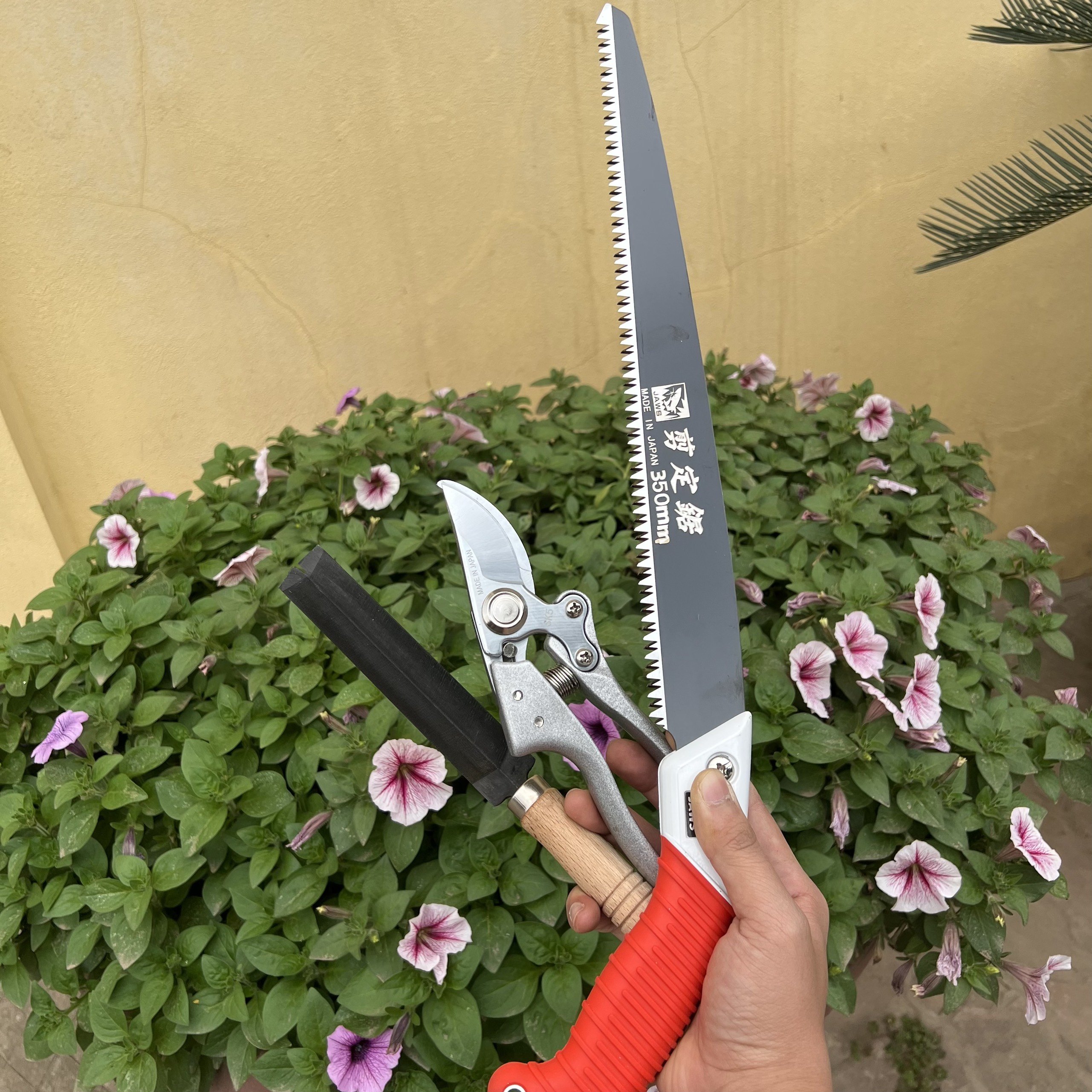 Combo Cưa cắt cành Nhật Bản  + Kéo Cắt Cành SK5 Nhật Bản + Dũa Cưa, Dũa Kéo. Dụng cắt tỉa cây cảnh, cây bonsai