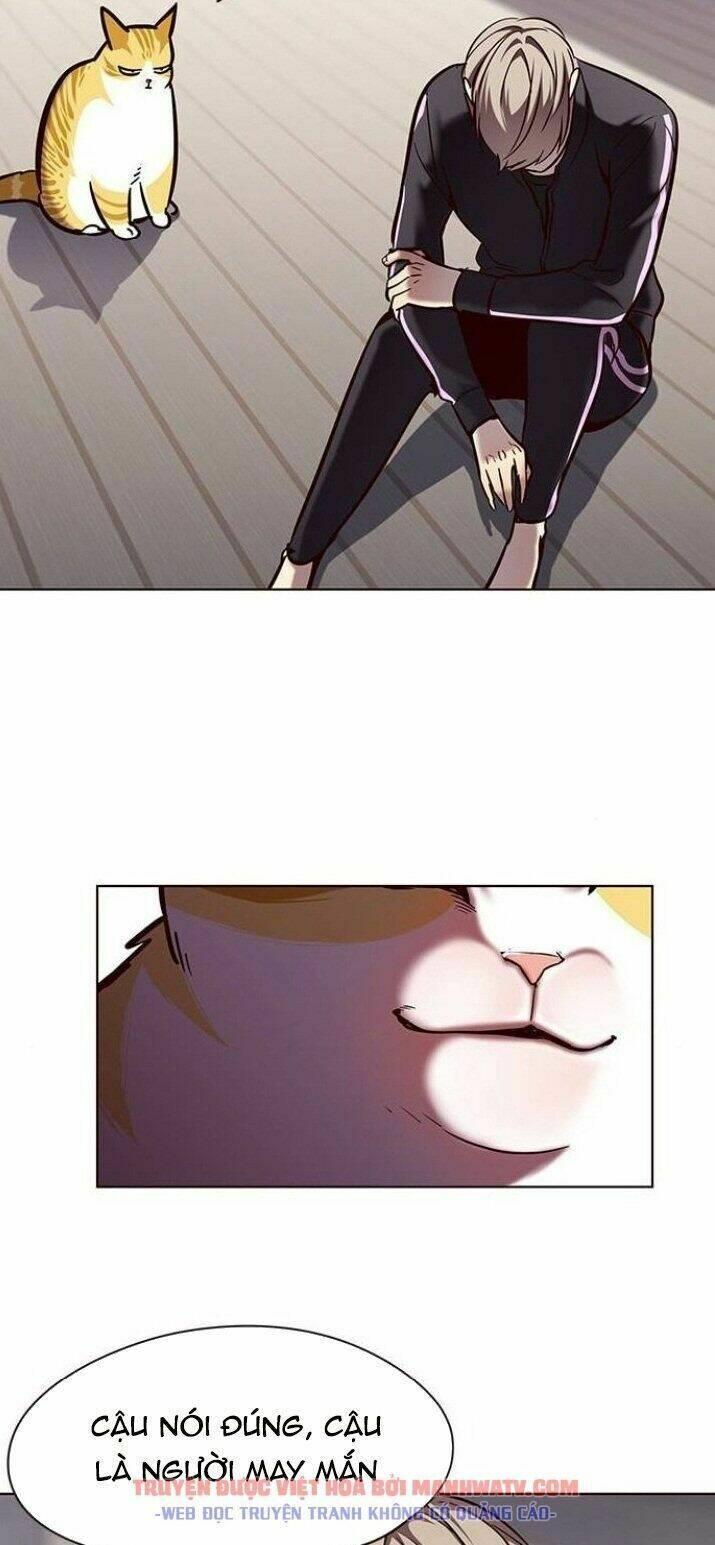 biến thân thành mèo chapter 116 17