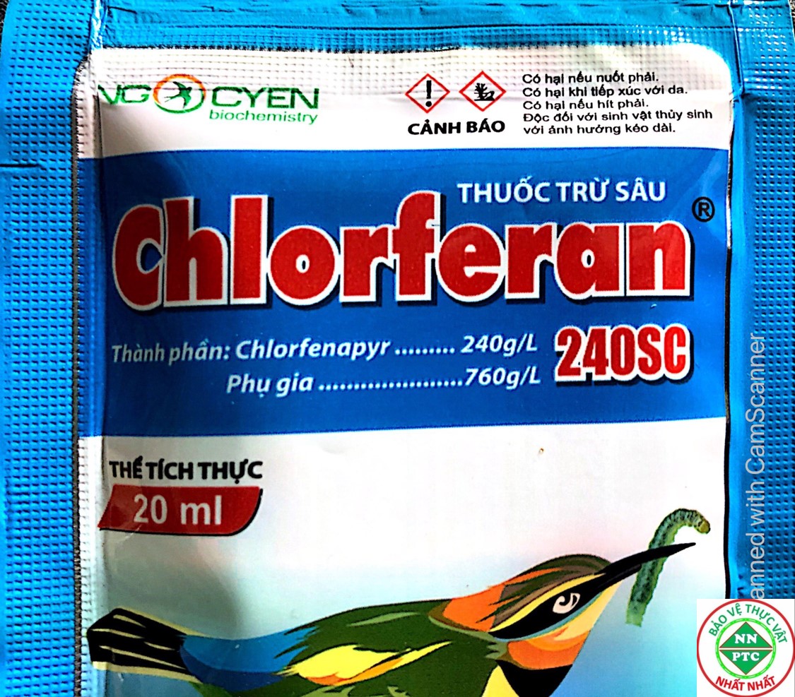 THUỐC TRỪ SÂU chlorferan 240SC  CHIM SÂU - VUA DIỆT SÂU CUỐN LÁ, SÂU Đục Thân