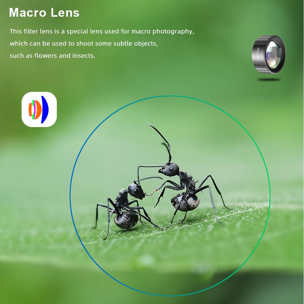 WAYWALKERS Camera Hành Động 5K 4K 60FPS Bộ Lọc Có Thể Tháo Rời Quay Video Màn Hình Kép Go Mini Chống Nước Thể Thao Dưới Nước Cam Pro