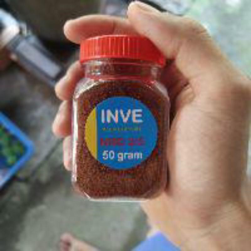 Cám Thái INVE 3/5 50g dành cho cá nhỏ