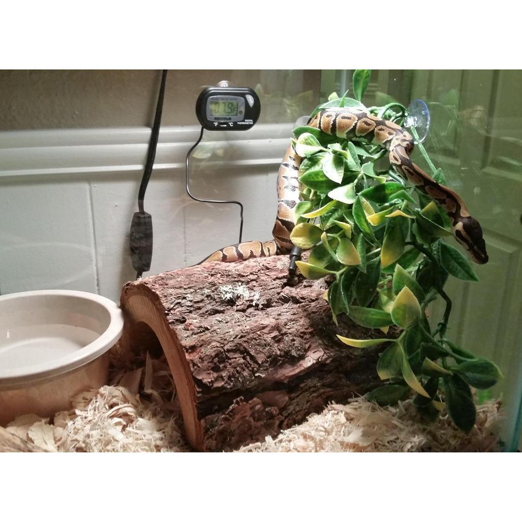 2Pack Reptile Terrarium Vivarium Ornament Decor Artificial Plant Fake Ivy Vine