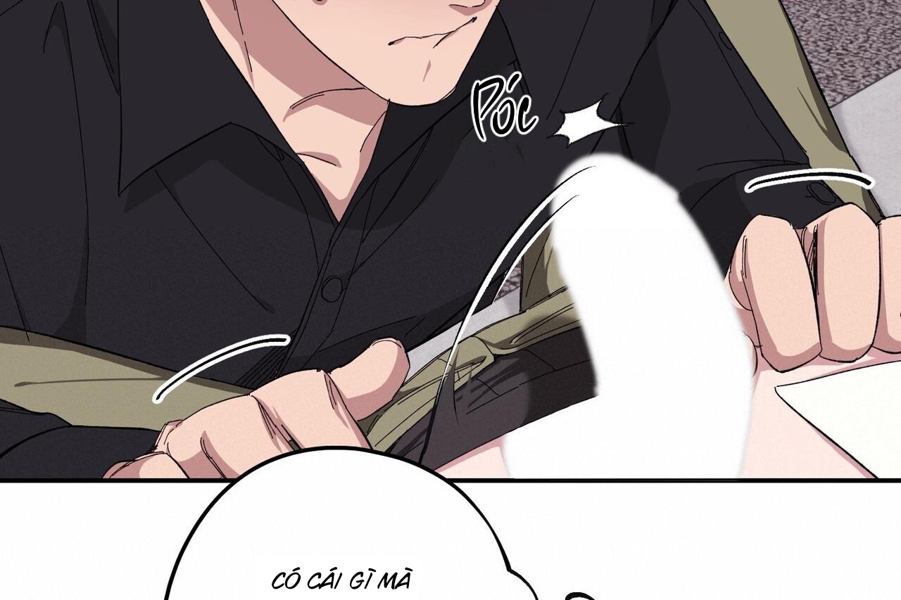 chàng dâu nhà họ kang chapter 34 74