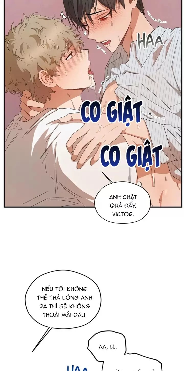 liveta chapter 25 27