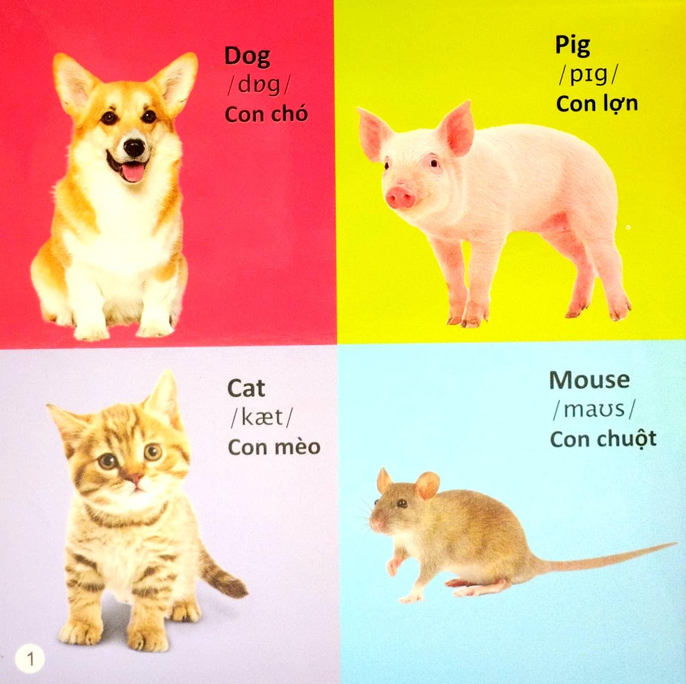 101 First Words: Animals - 101 Từ Đầu Tiên: Động Vật