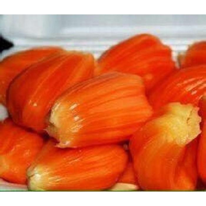 CÂY GIỐNG MÍT RUỘT ĐỎ - THƠM NGON - SIÊU TRÁI - CHUẨN HÀNG GIỐNG CÂY F1