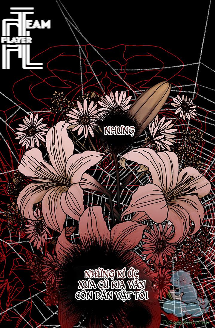 Lần Nữa Toả Sáng chapter 3.5 3
